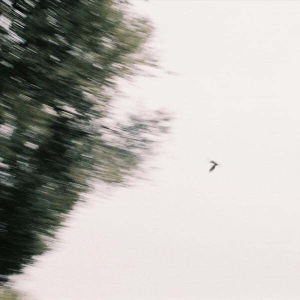Cover art for Casa Branca